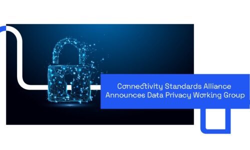 Logo for new Data Privacy Working Group by CSA